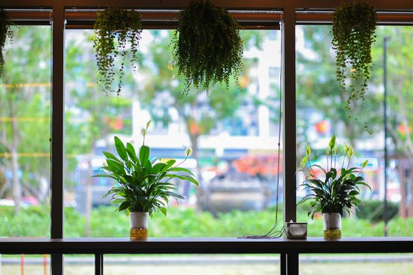 Pourquoi opter pour Cap Soleil Énergie et ses panneaux solaires ?